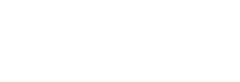 Gruppo Boschetti Armando